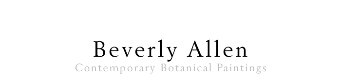 Beverly Allen Contemporary Botanical Paintings logo